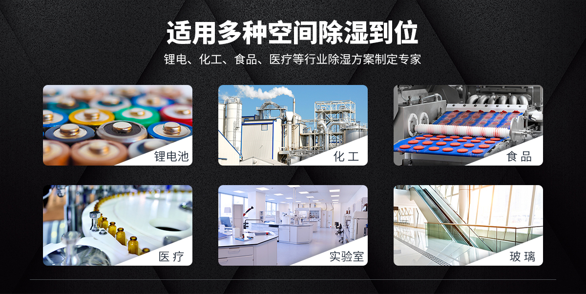 锂电池专用除湿机组(图3) 锂电池专用除湿机组(图3)